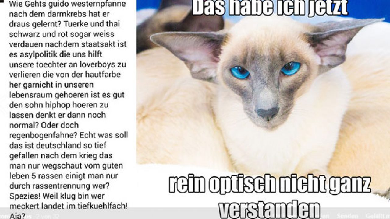 2015-02-26-katzen-start