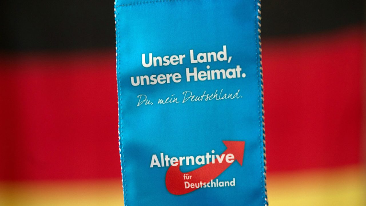 AfD-Kreisparteitag