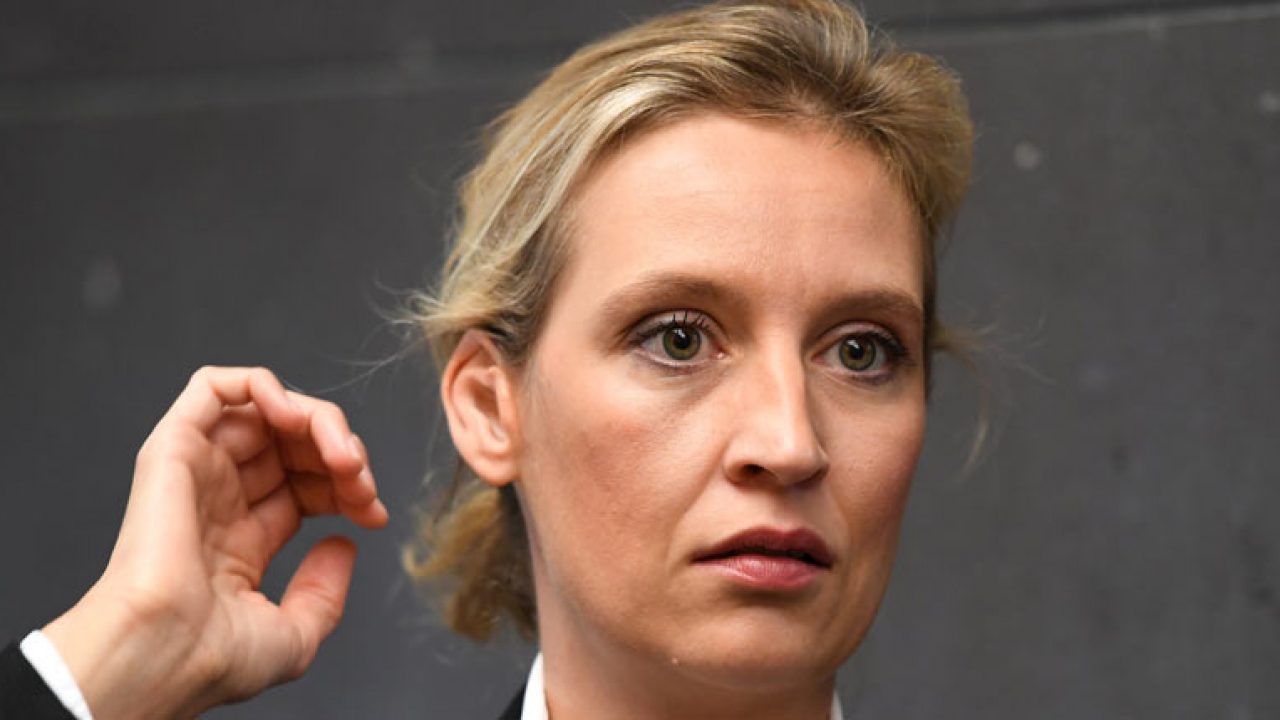 Argumentiert AfD-Spitzenkandidatin Alice Weidel wie ...