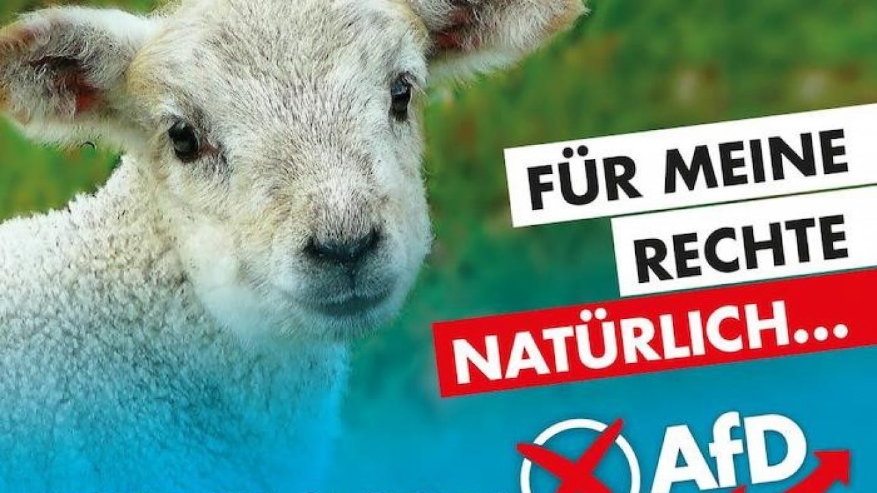 Die partei wahlplakate sachsen