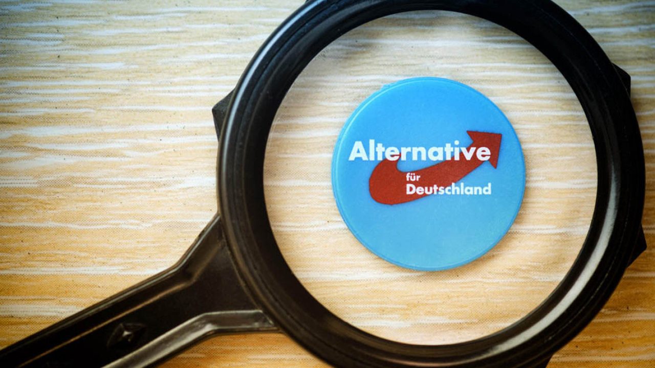 Logo der Partei Alternative für Deutschland unter der Lupe