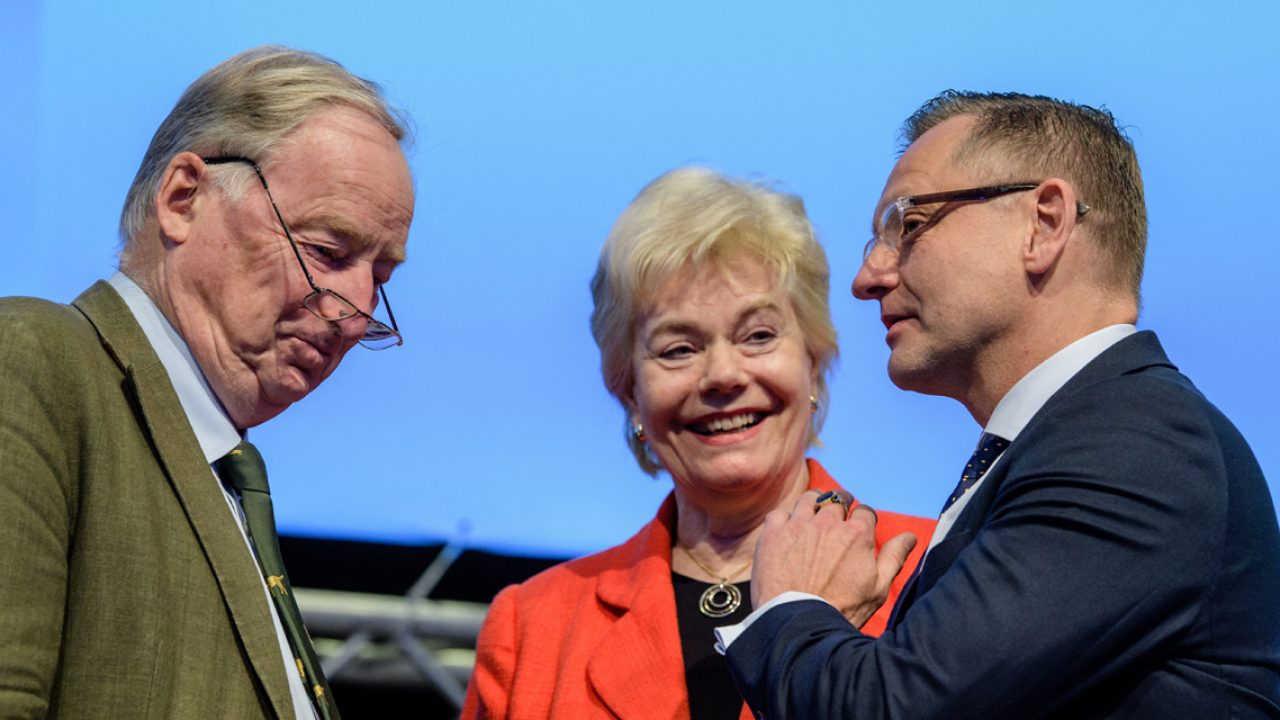 AfD-Bundesparteitag