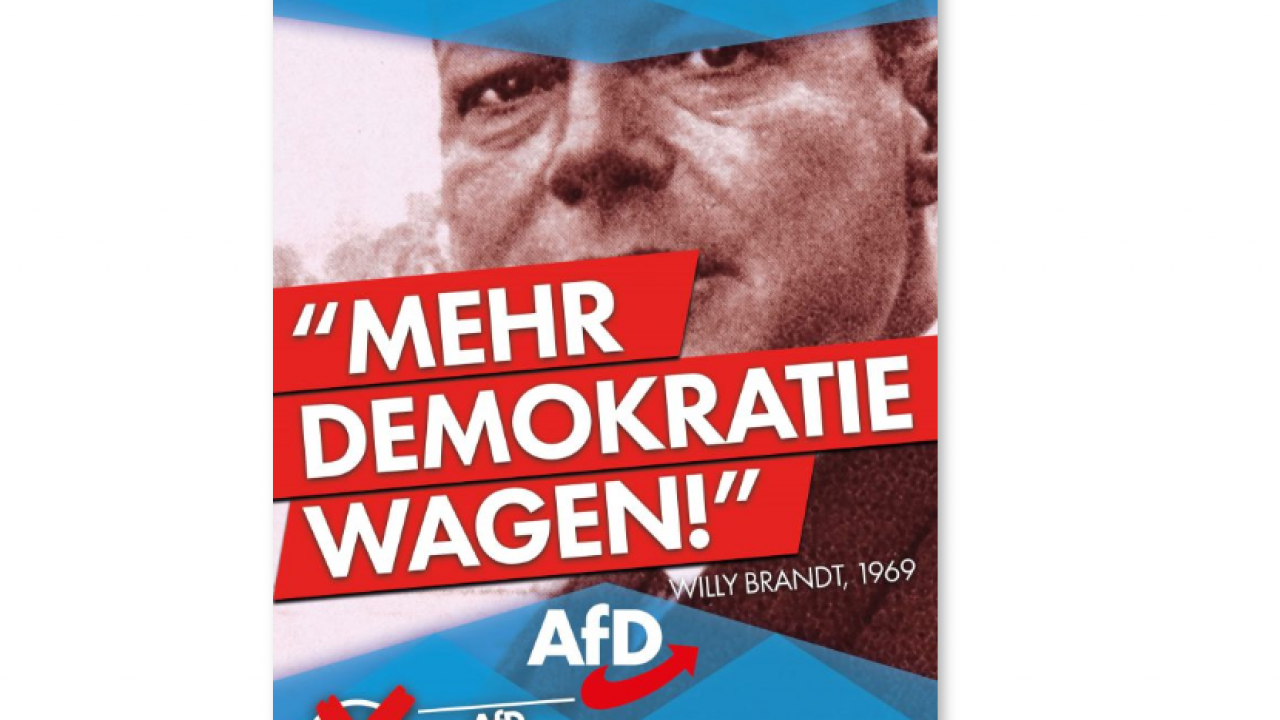 afd-direkte-demokratie