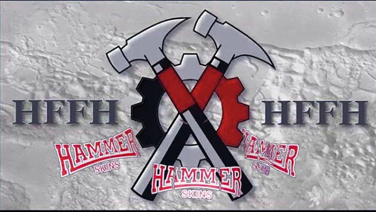 Hammerskins aufm