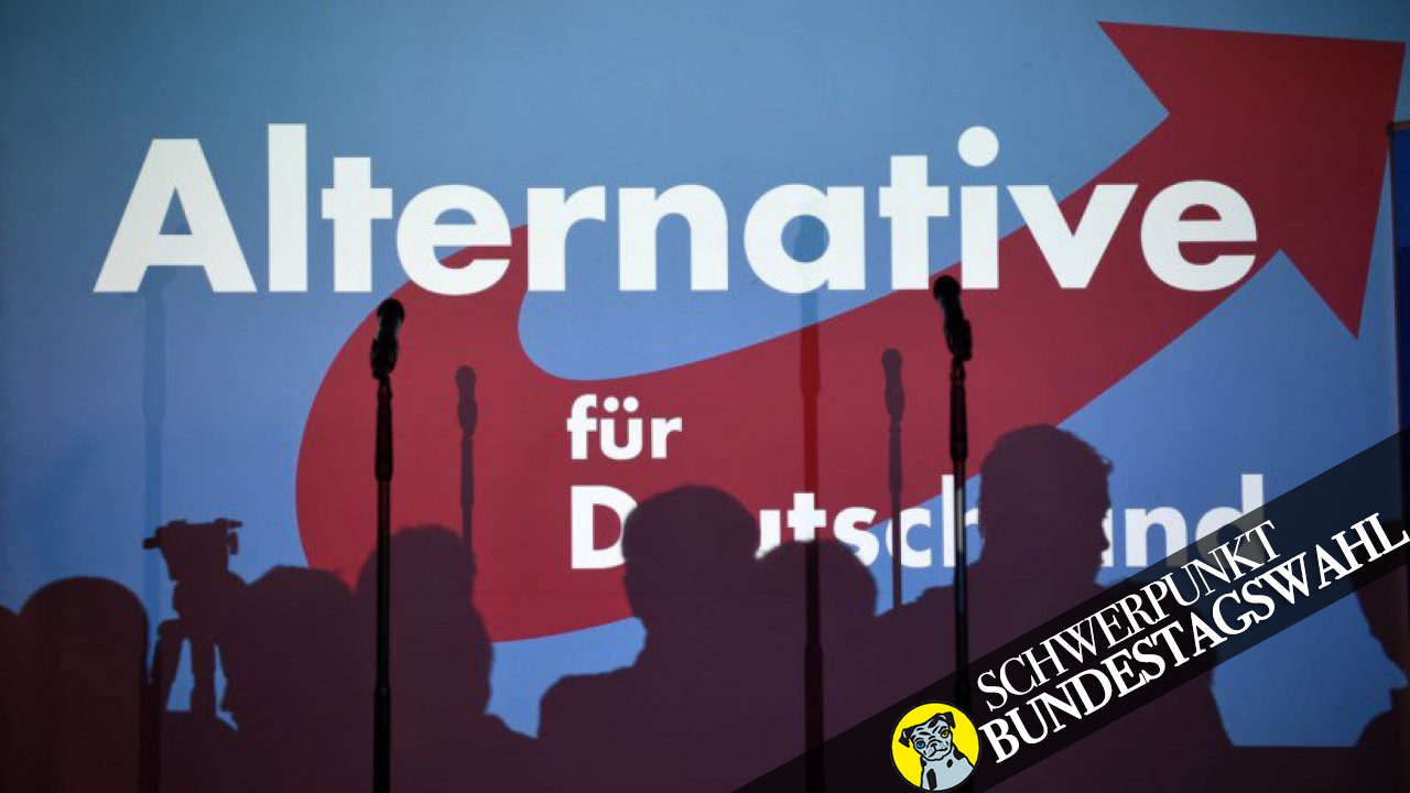 Was Passiert Wenn Die Afd Gewinnt Die Gewinne und Verluste der AfD - Belltower.News