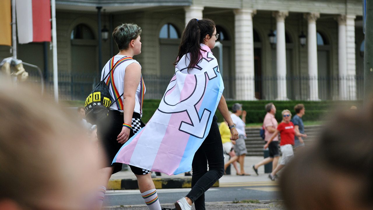 Eine Trans-Flagge auf dem Pride-March in Genf. Manche Feminist:innen in der sogenannten „Gender Critical“-Bewegung wollen aber trans Menschen ausschließen.
