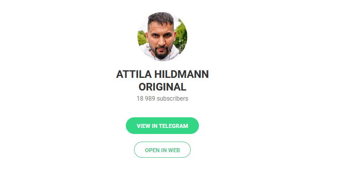 Wie alt ist Attila Hildmann?