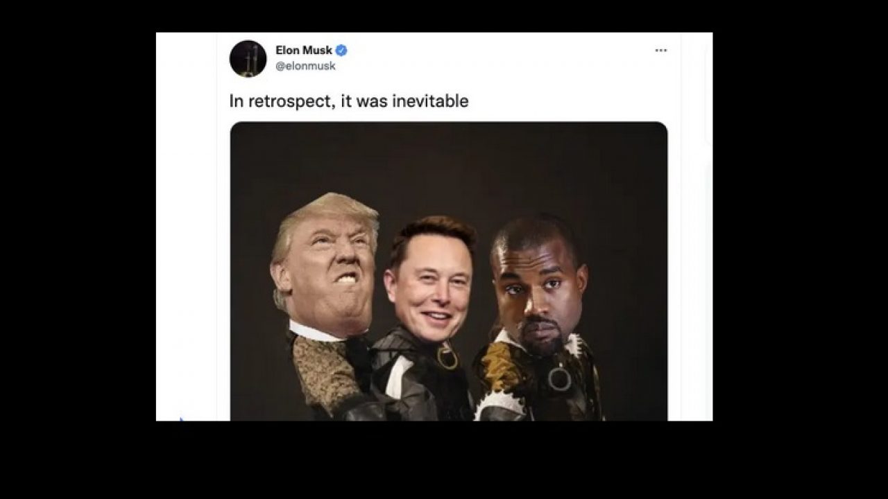 musk-tit