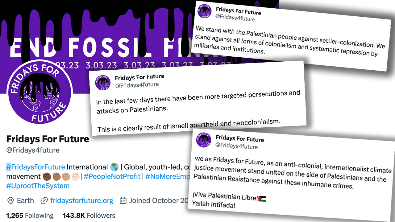 Der Auftritt von Fridays for Future International auf Twitter: Hauptsache, gegen Israel