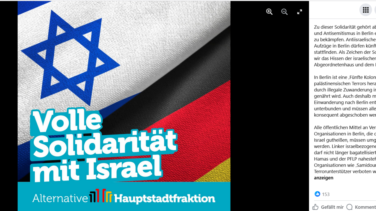 afd-israel-rassismus