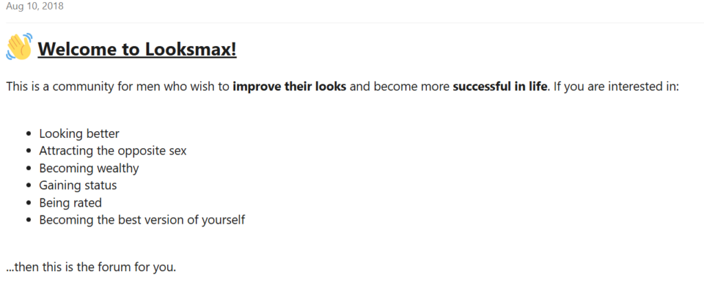 Auf szeneeigenen Foren tauschen sich die jungen Männer aus und bewerten ihr Äußeres gegenseitig. 