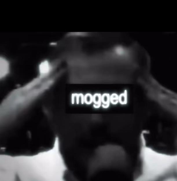 In Looksmaxxing-Communities bedeutet „moggen“, andere allein durch ein angeblich überlegenes Aussehen zu übertrumpfen. Quelle: TikTok