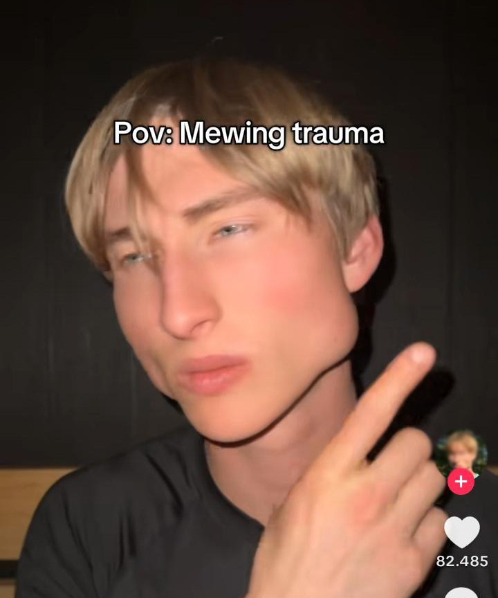 Ab September 2023 wurde der Song „ICEWHORE!“ – besonders die Textstelle „Bye bye“ – mit einer bestimmten Geste verbunden: Dabei legen Nutzer zuerst einen Finger auf die Lippen und machen ein „Shh“, anschließend zeigen sie auf ihre Jawline. Quelle: TikTok 