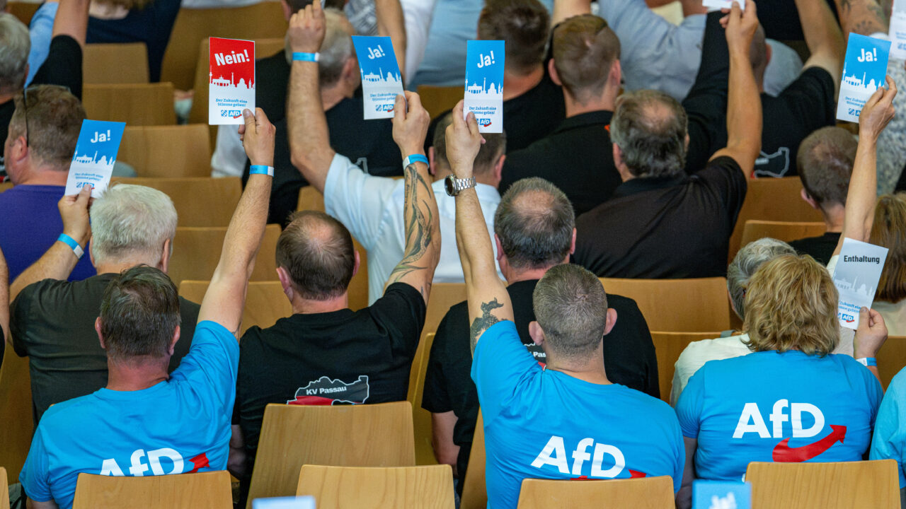Landesparteitag AfD Bayern
